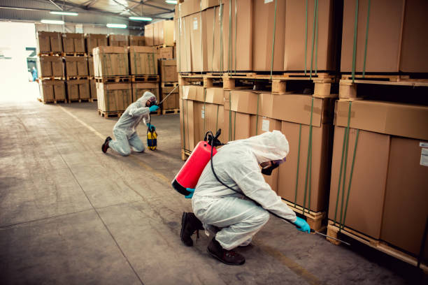 Wasp Removal Services in Cridersville, OH