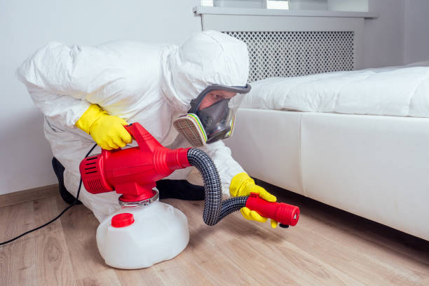 Best Affordable Pest Control Services  in Cridersville, OH