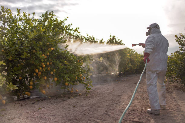 Best Pest Removal Services  in Cridersville, OH