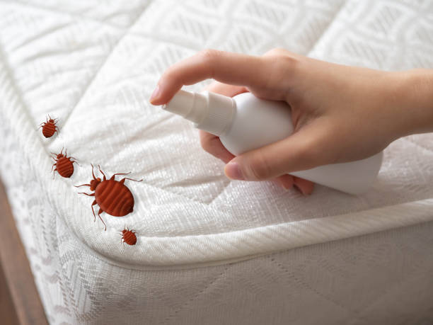 Best Pest Removal Services  in Cridersville, OH