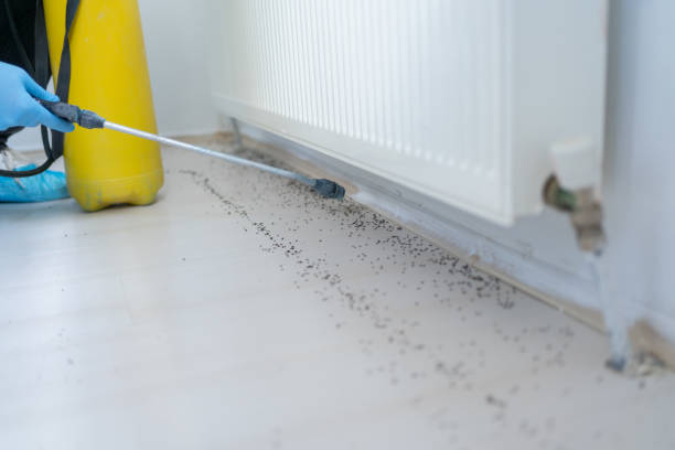 Best Wildlife Control Services  in Cridersville, OH